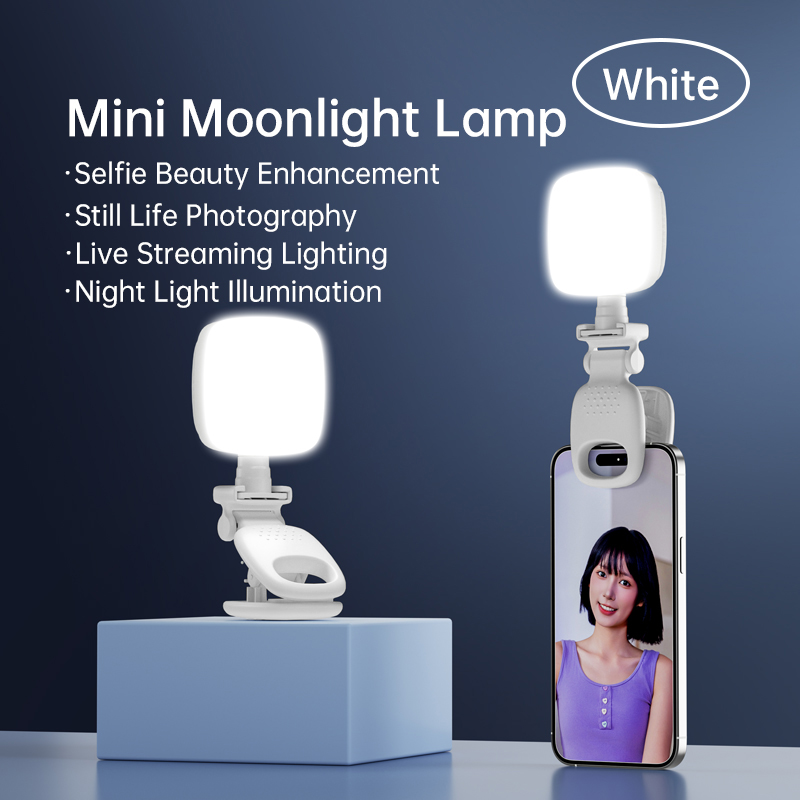 Portable LED Selfie lumière ca - Lighting Gallery avis et prix