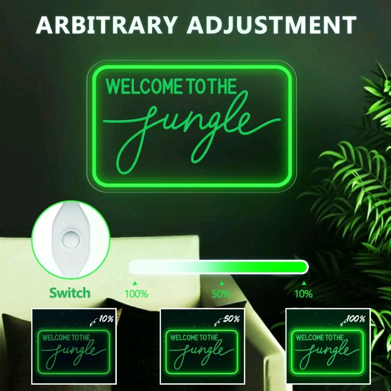Lumières néon LED personnalisé - Ambient Lighting Decor For Room avis et prix